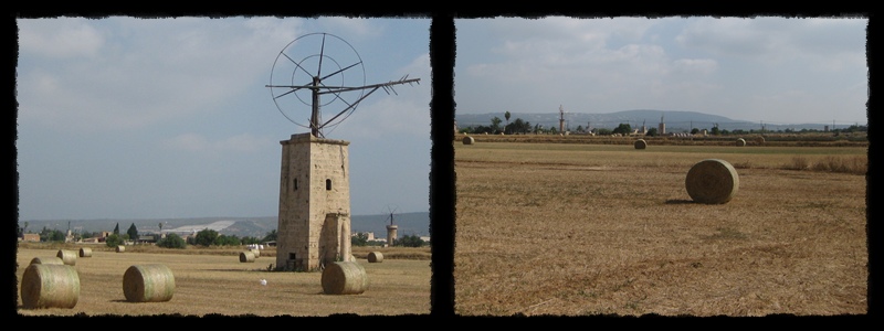 F021.jpg